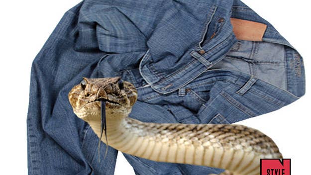 A wild Burmese python was found hiding in a pile of jeans at a Florida flea market. 