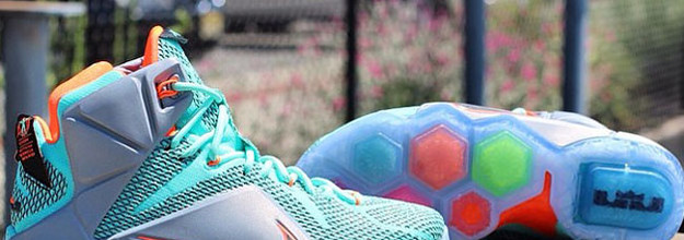 Lebron 12 heart of a lion price online