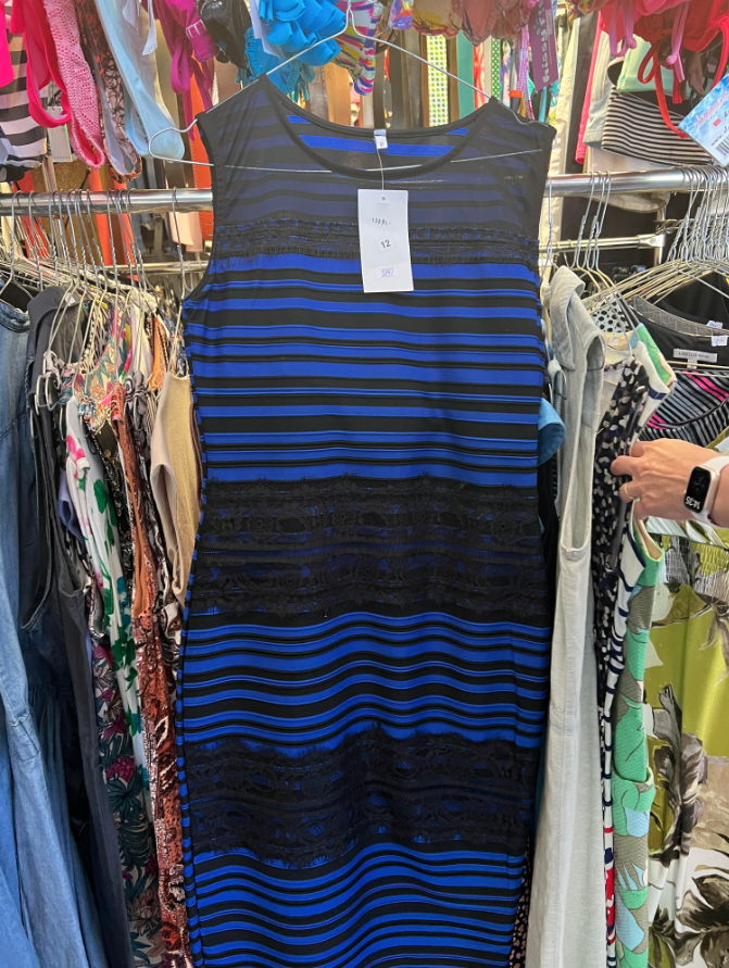 Best Thrift Shop Finds - 79