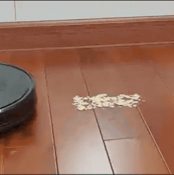 a reviewer gif of the vacuum sucking up a pile of food on the floor