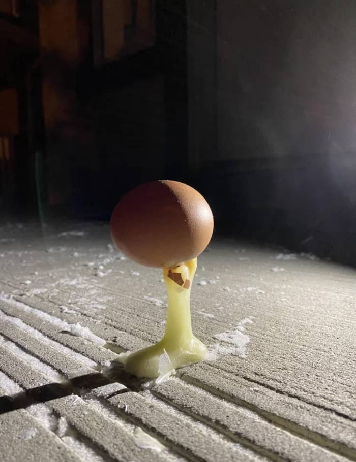 A frozen egg