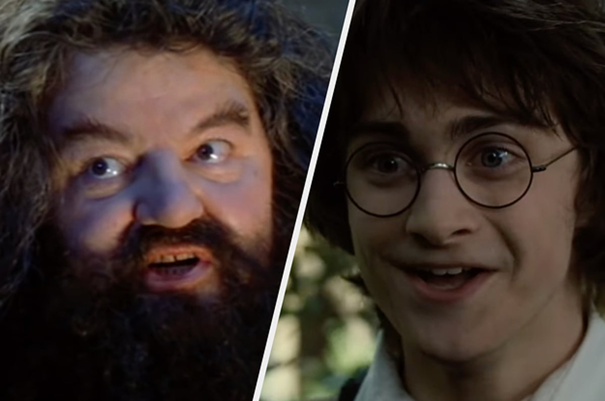 100 Harry Potter Jokes That'll Cast A Spell On You