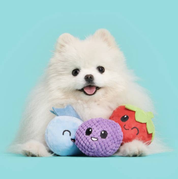 dog with three berry bunch dog toys