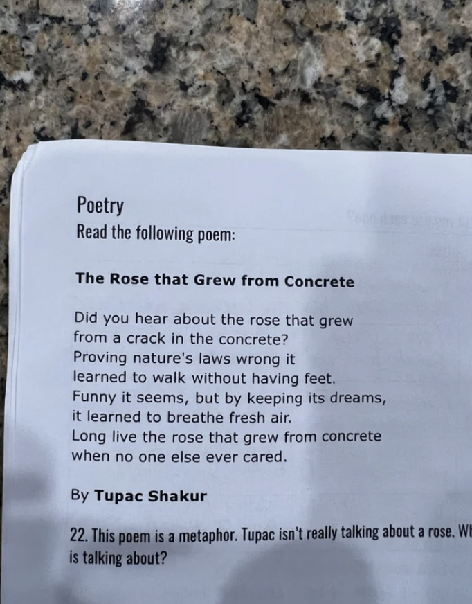 Tupac&#x27;s poem &quot;The Rose That Grew From Concrete&quot; in a test about metaphors