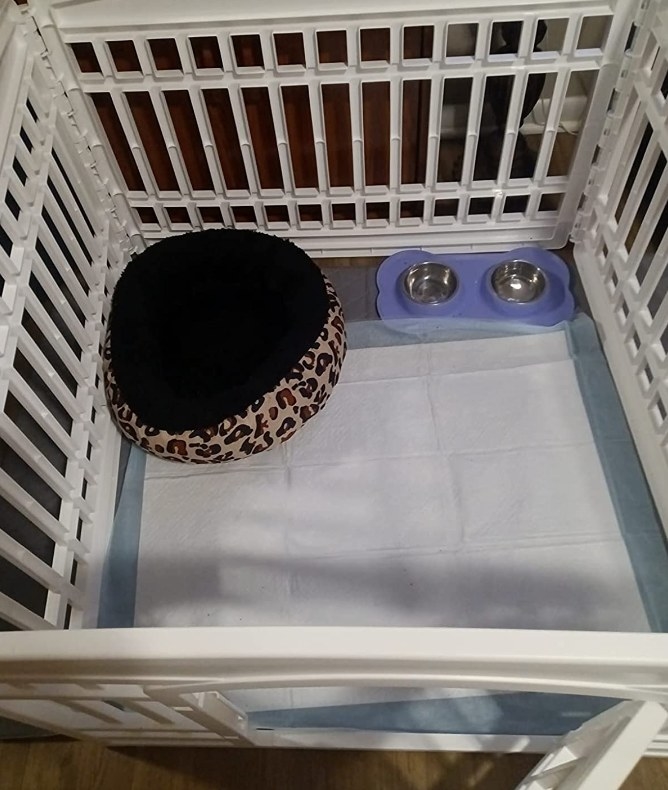 A reviewer&#x27;s photo of the pee pad in their dog&#x27;s playpen