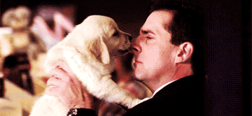 gif of Michael Ccott from the office holding a puppy who is licking his face