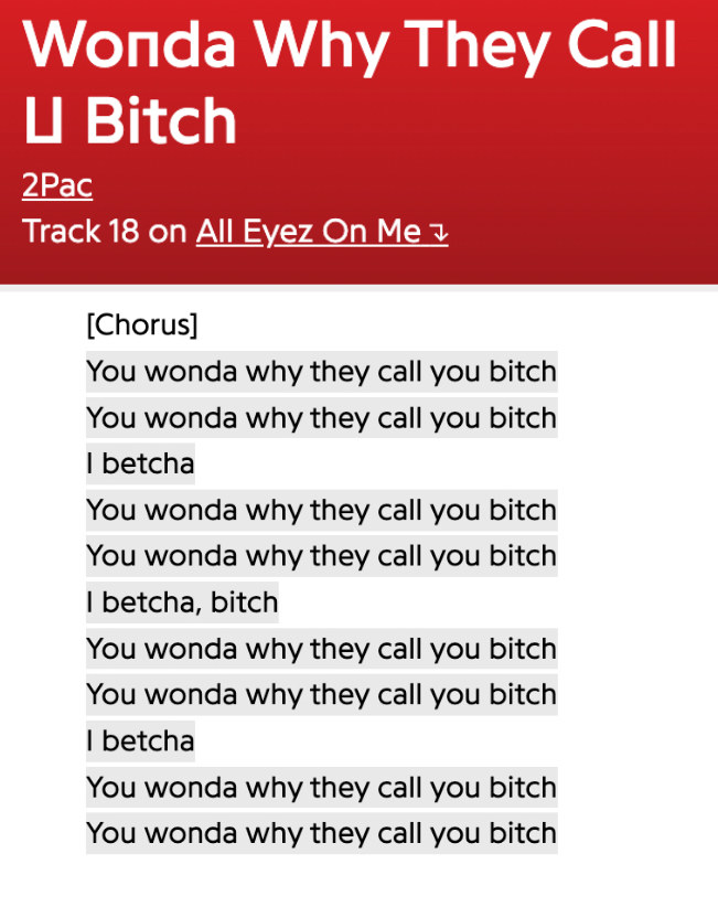 lyrics for the song, Wonda Why they call you bitch
