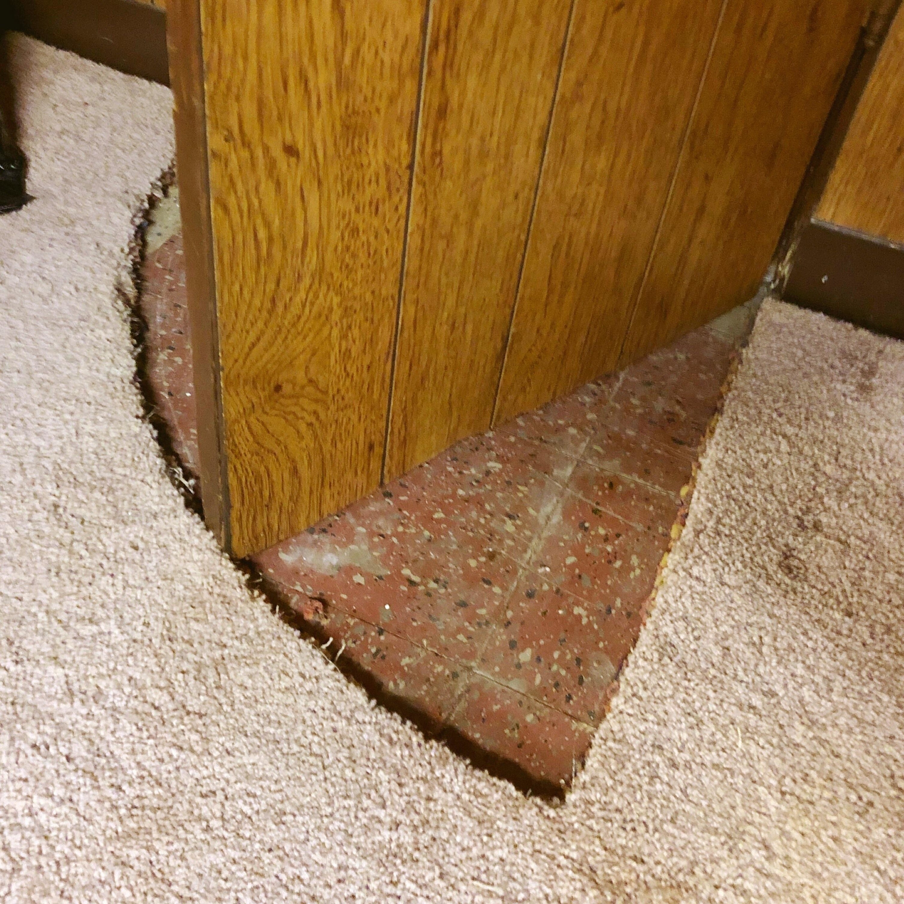 carpet cut out so a door can open