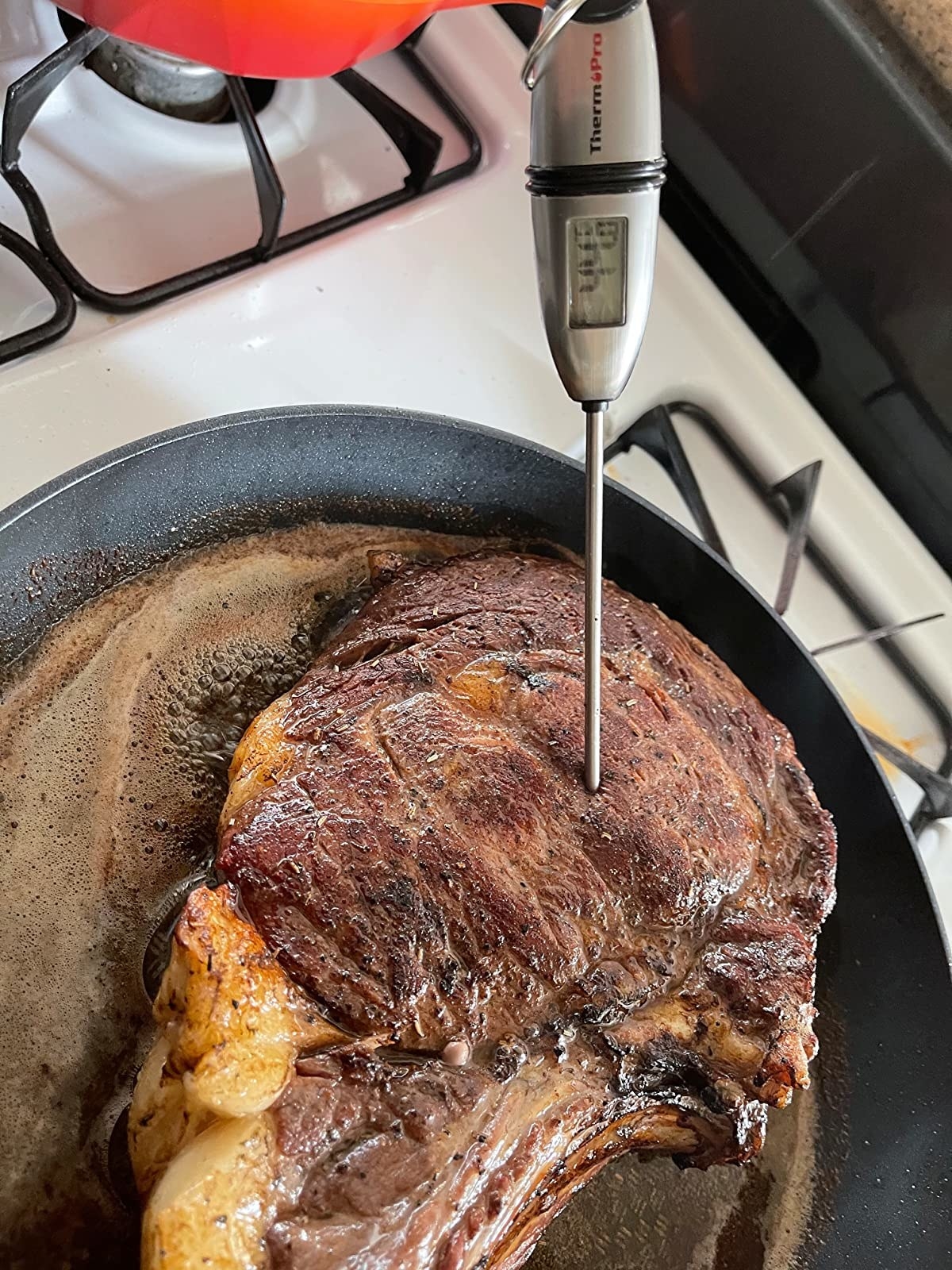 the thermometer stuck into some meat