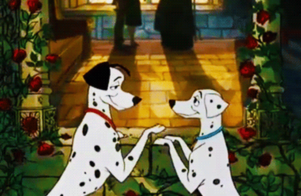 a gif of pongo and perdita from 101 dalmatians