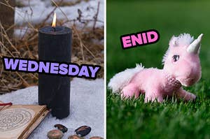 On the left, a dark candle labeled Wednesday, and on the right, a stuffed unicorn in the grass labeled Enid