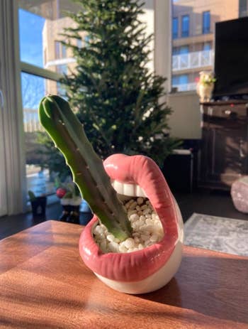 pink lips planter with a cactus growing out of it