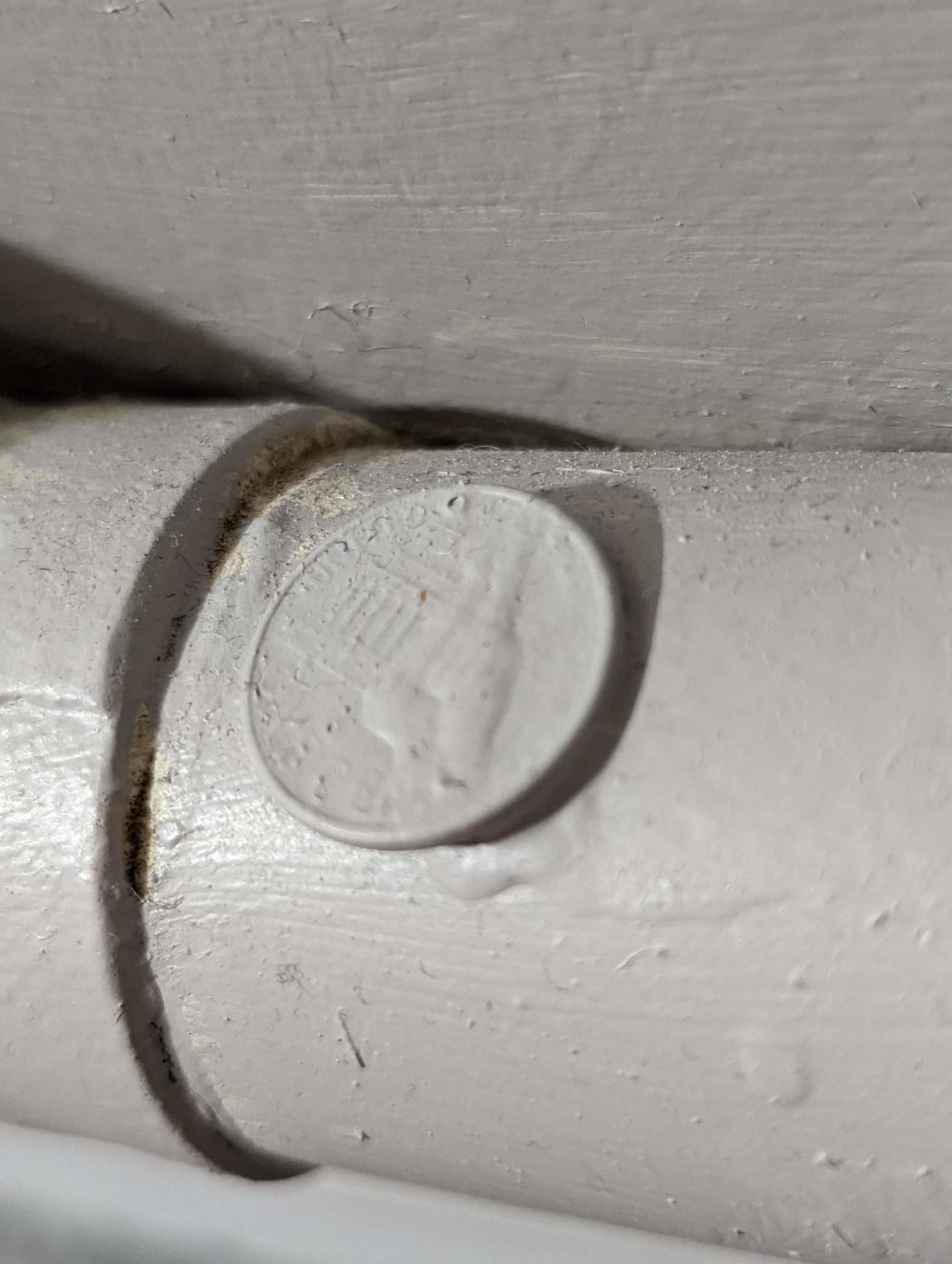 penny on a pipe painted over