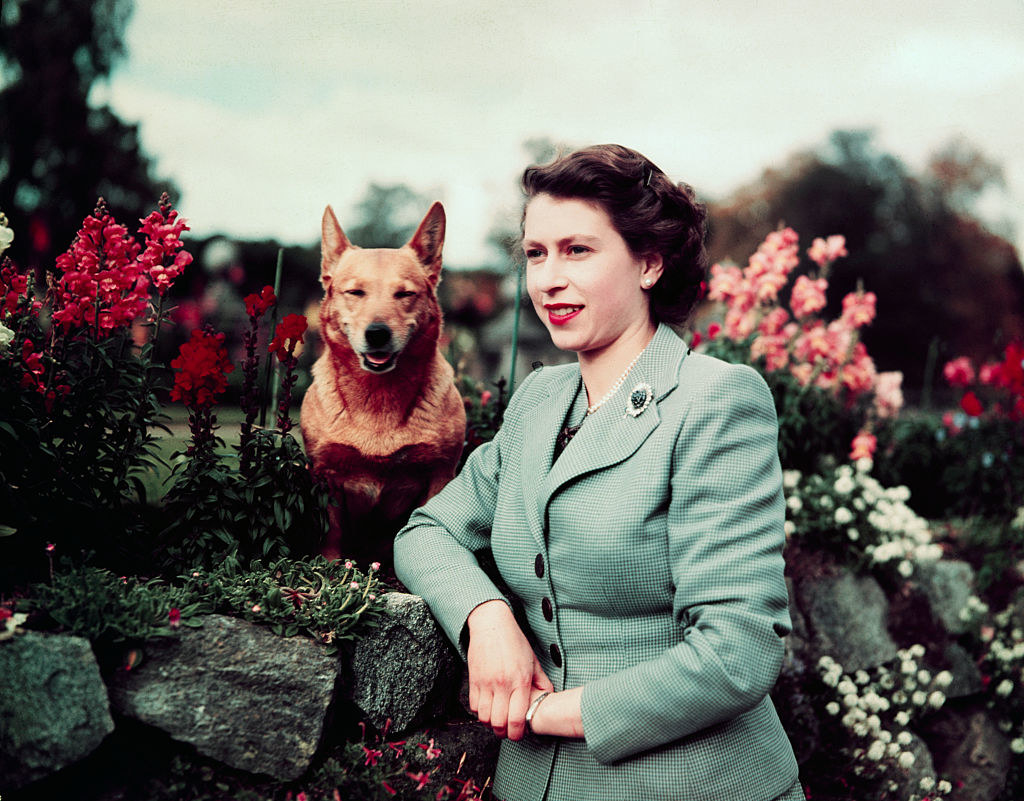 Queen Elizabeth II and a corgi