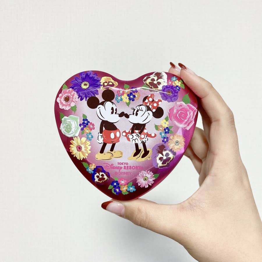 ディズニーランド】一目惚れして即レジした！ミッキーの「600円 