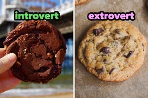 On the left, a double chocolate chip cookie labeled introvert, and on the right, a chocolate chip cookie labeled extrovert
