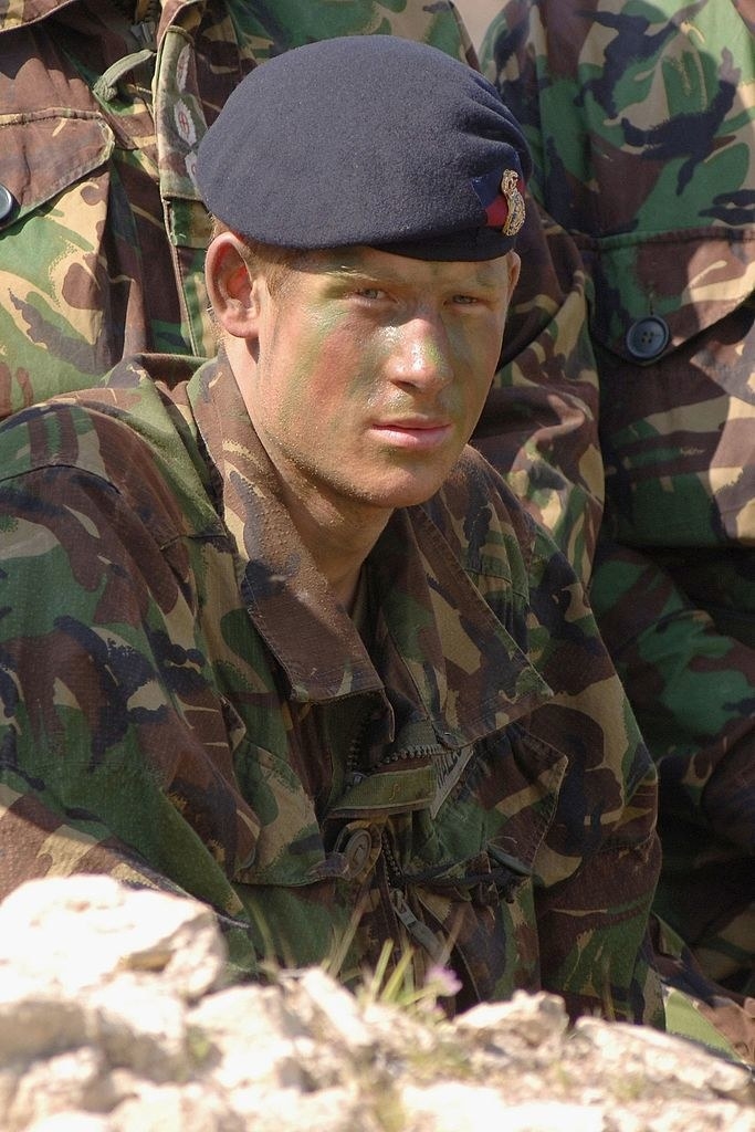 Prince Harry Memoir Spare Details