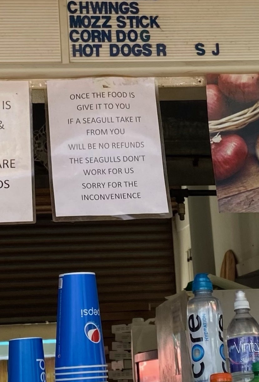 Sign at a restaurant that says &quot;once the food is give it to you if a seagull take it from you will be no refuds the seagulls don&#x27;t work for us sorry for the inconvenience&quot;