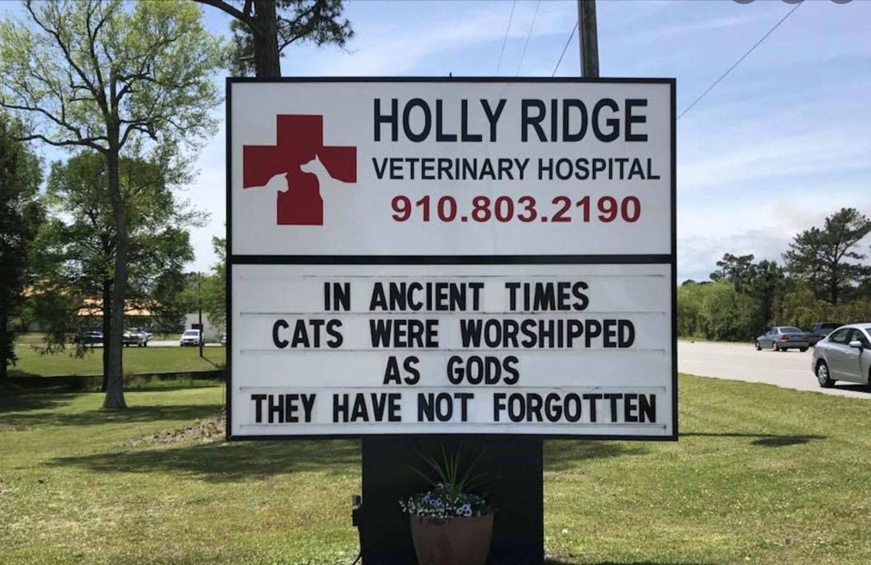 sign that says &quot;in ancient times cats were worshipped as gods. They have not forgotten&quot;