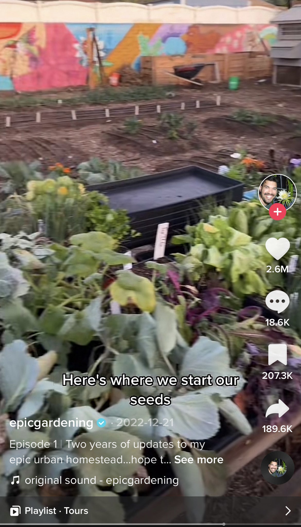 Screenshot showing a close-up of his garden where he plants his seeds