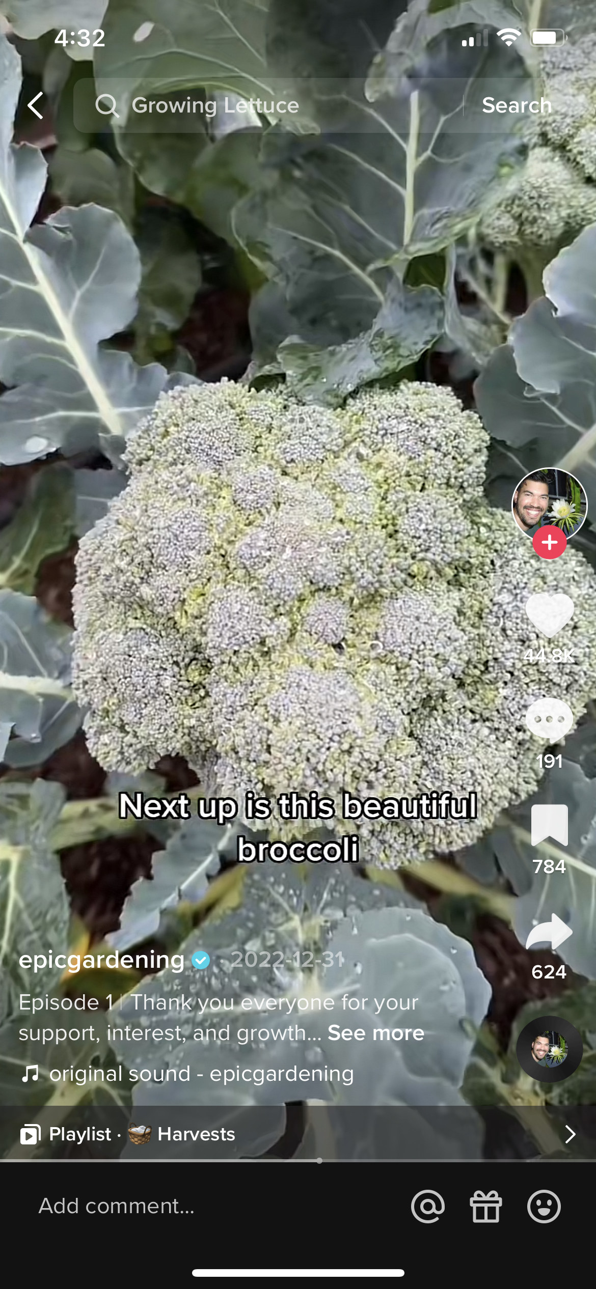 Close-up of broccoli grown in Kevin&#x27;s yard