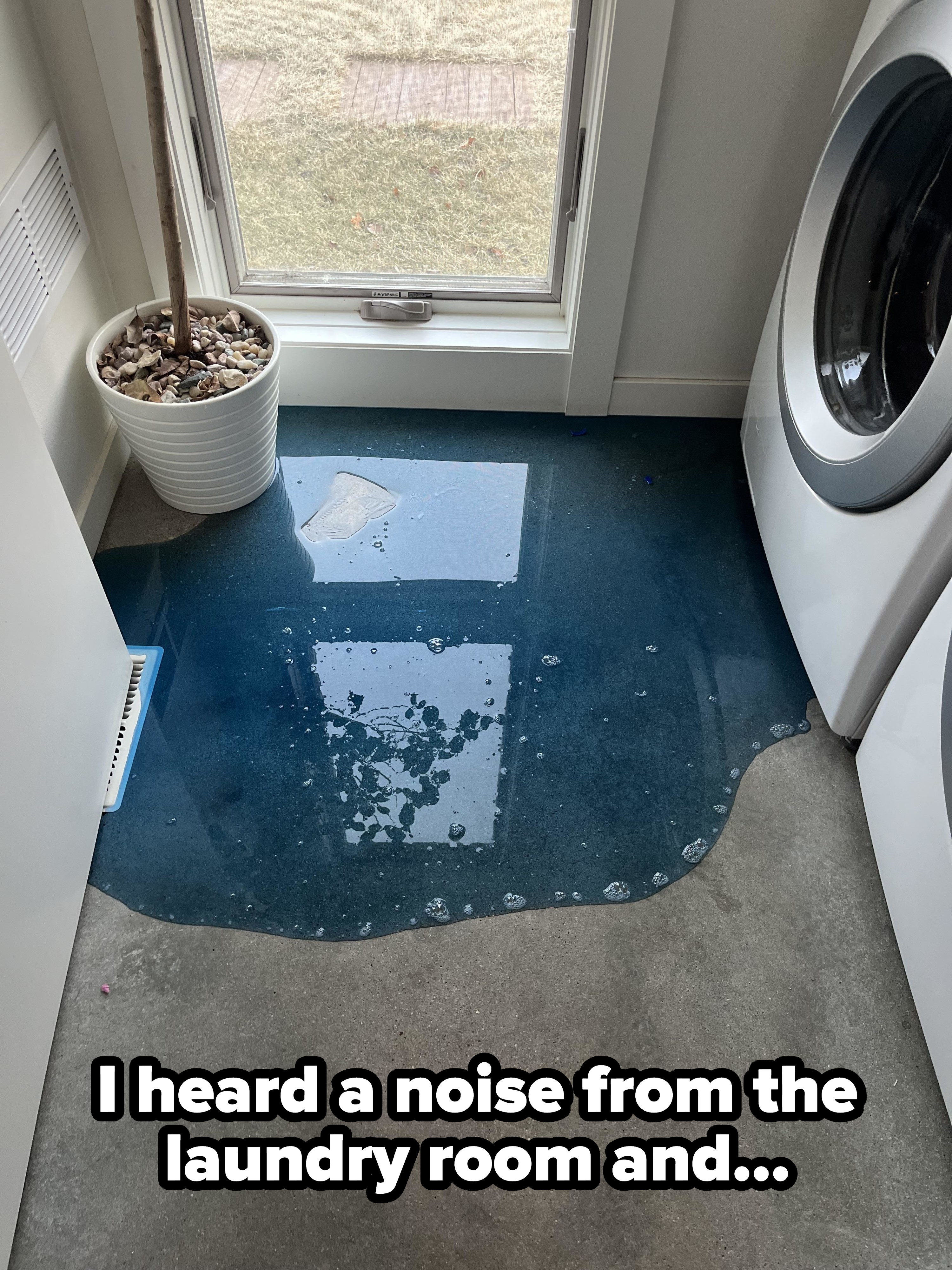 &quot;I heard a noise from the laundry room and&quot; caption with lots of blue liquid laundry detergent on the floor next to a washing machine
