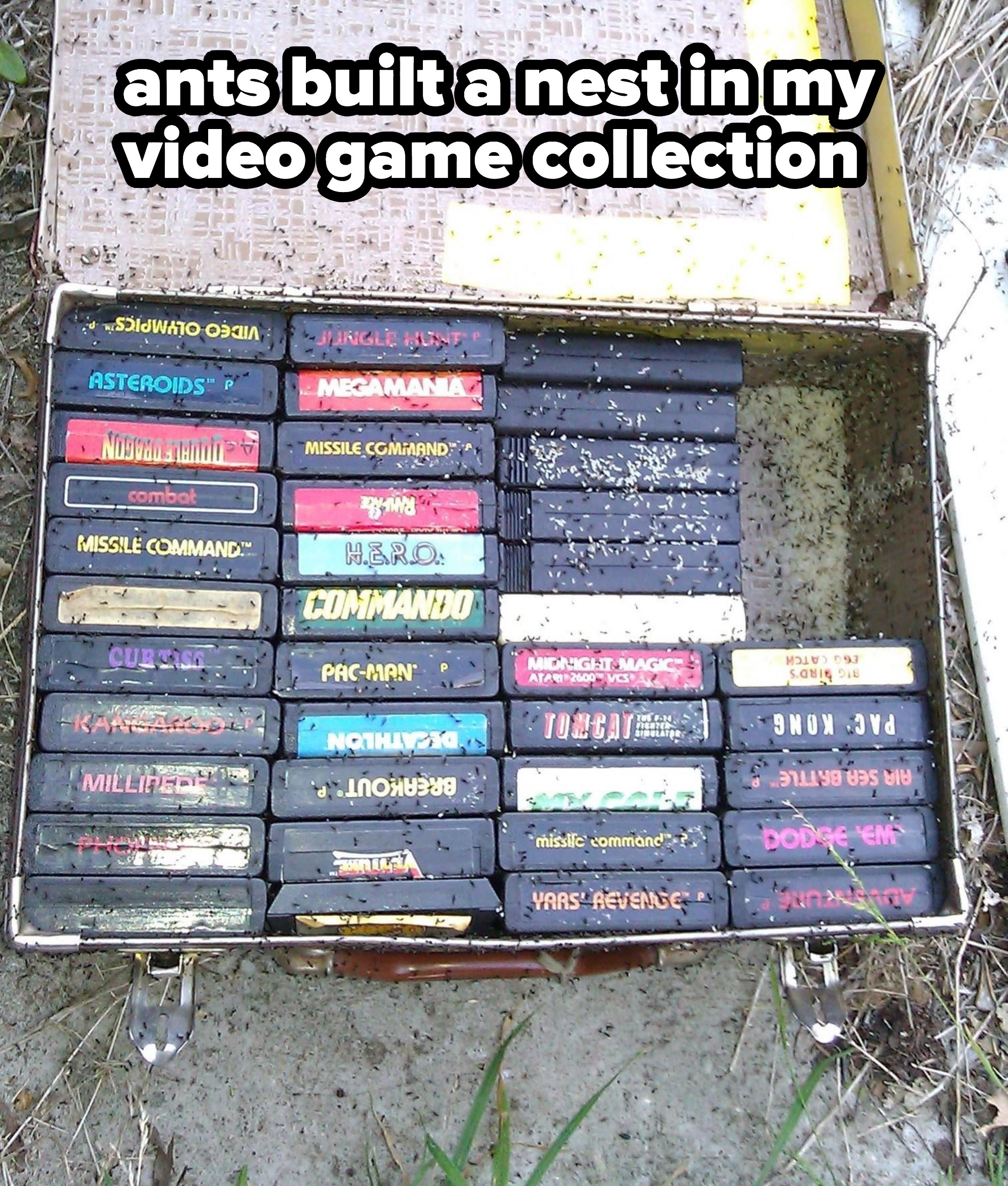 A box with video games open on the ground and infested with ants