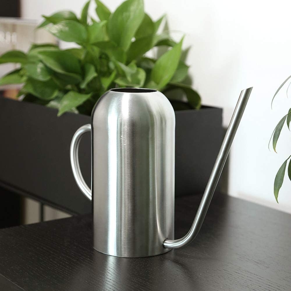 a stainless steel watering can with a long narrow spout