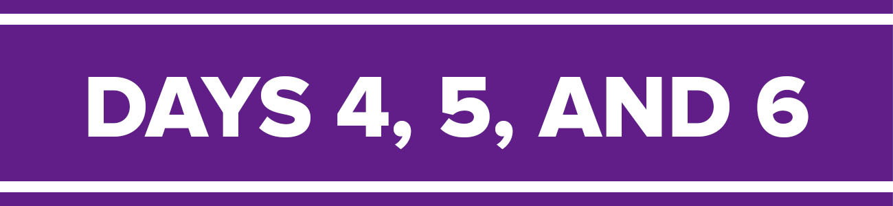 header bar with copy reading &quot;days 4, 5, and 6&quot;
