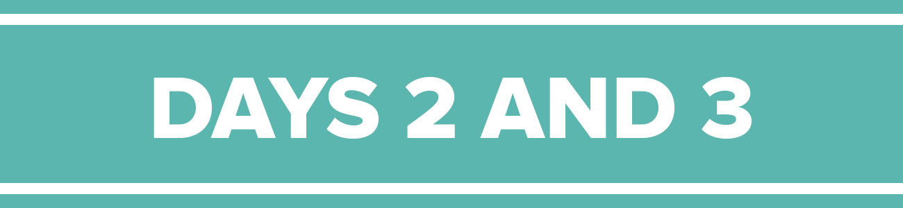 header bar with copy reading: &quot;days 2 and 3&quot;