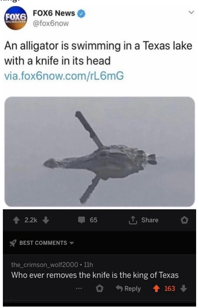Below a photo of an alligator in Texas with a knife caught in its head, a commenter says "Whoever eliminates the knife is the king of Texas"