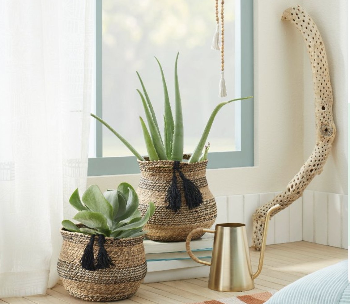 two woven baskets with plants inside them