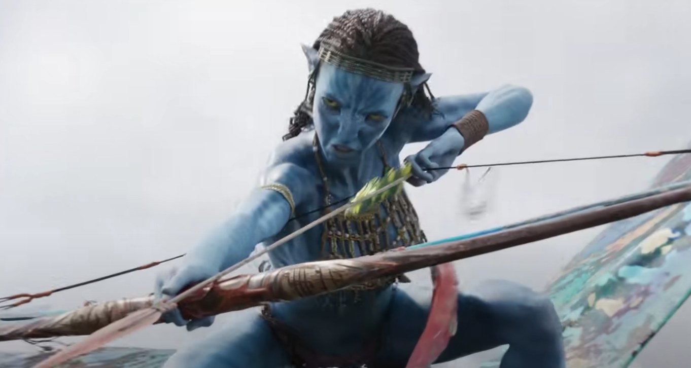 Neytiri Sully in 2023  Zoe saldana avatar, A hat in time, Avatar