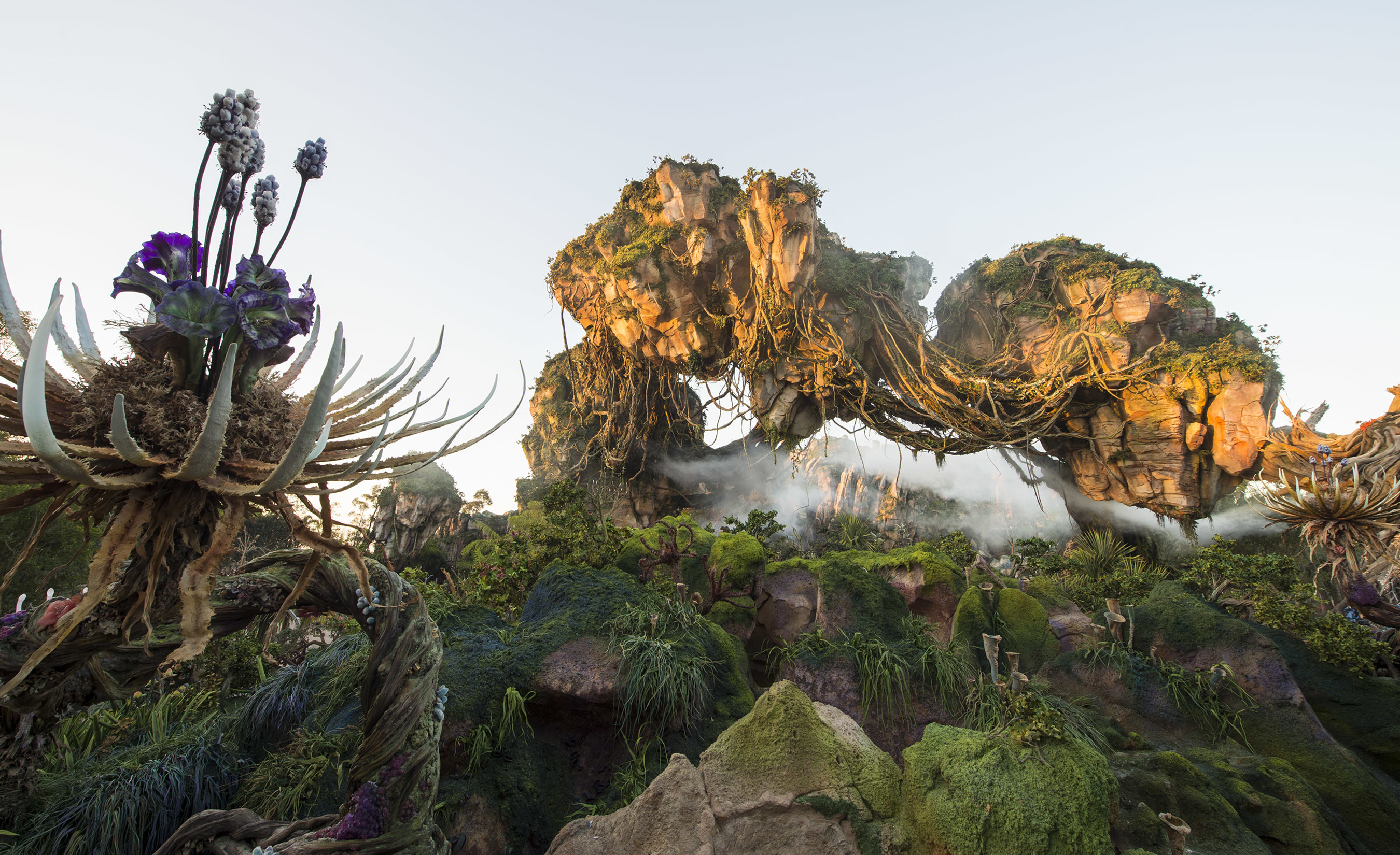 Floating mountains grace the skyline while exotic plants fill the colorful landscape inside Pandora - The World of Avatar