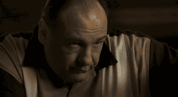 JAMES gandolfini in the sopranos sitting and looking up before the screen cuts to black