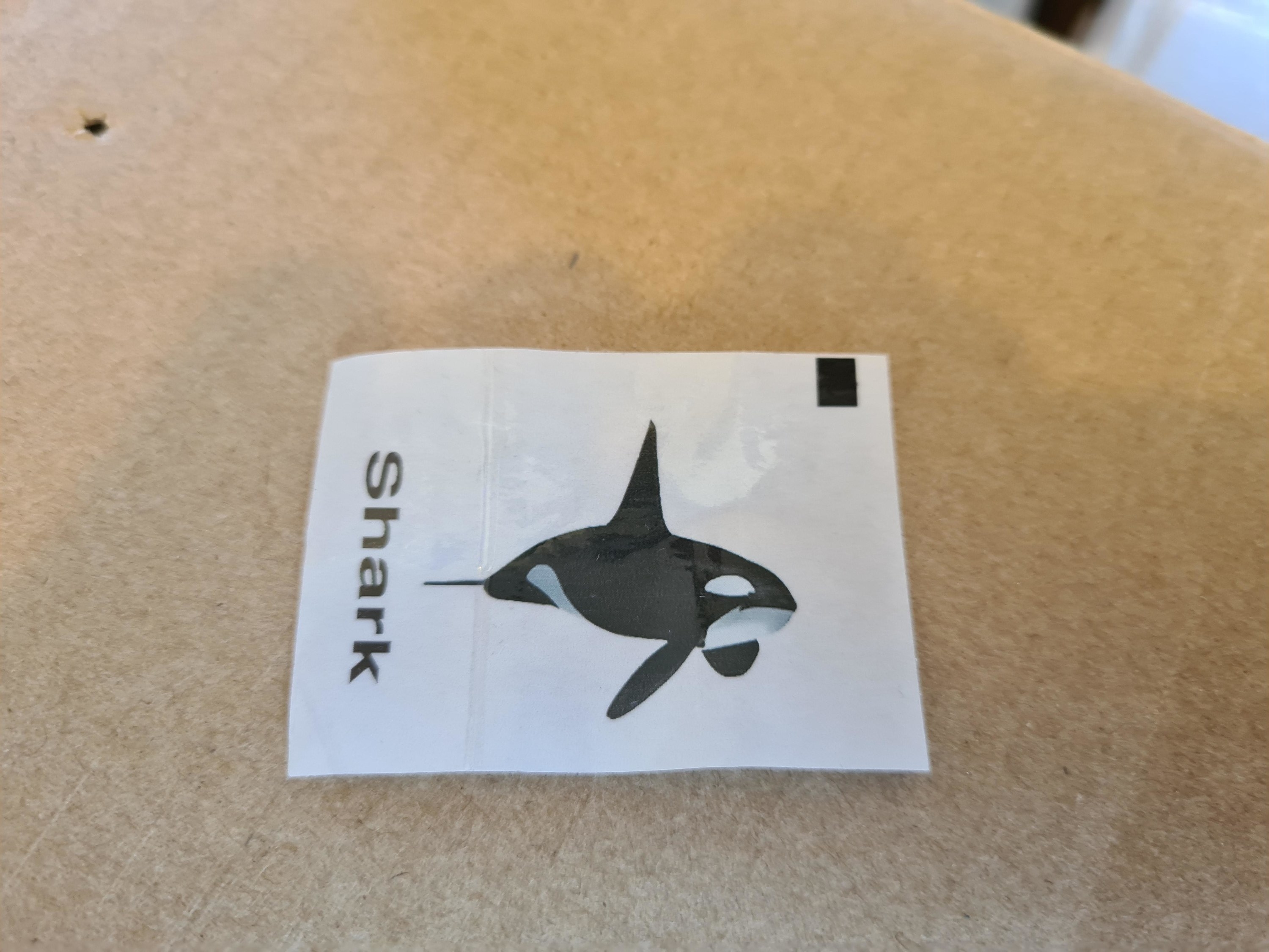 temporary tattoo mislabeled &quot;shark&quot;