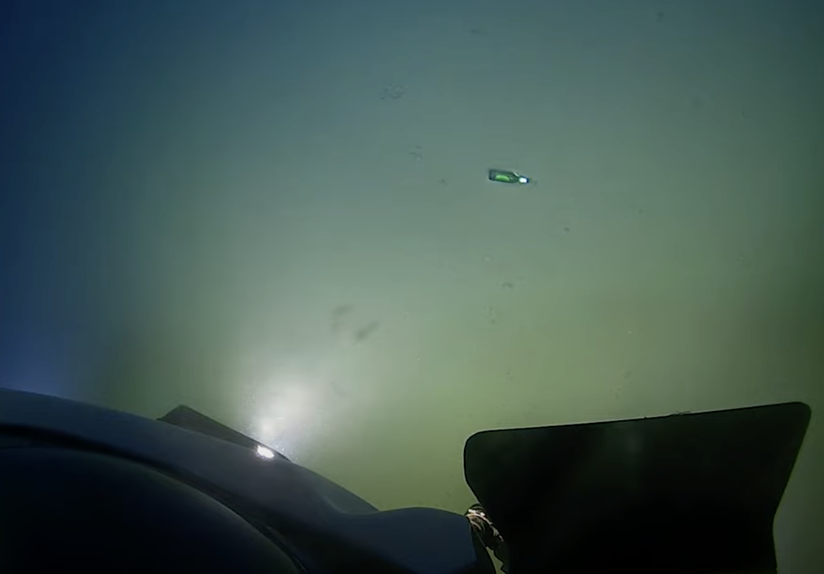 A beer bottle floating in the greenish water far down