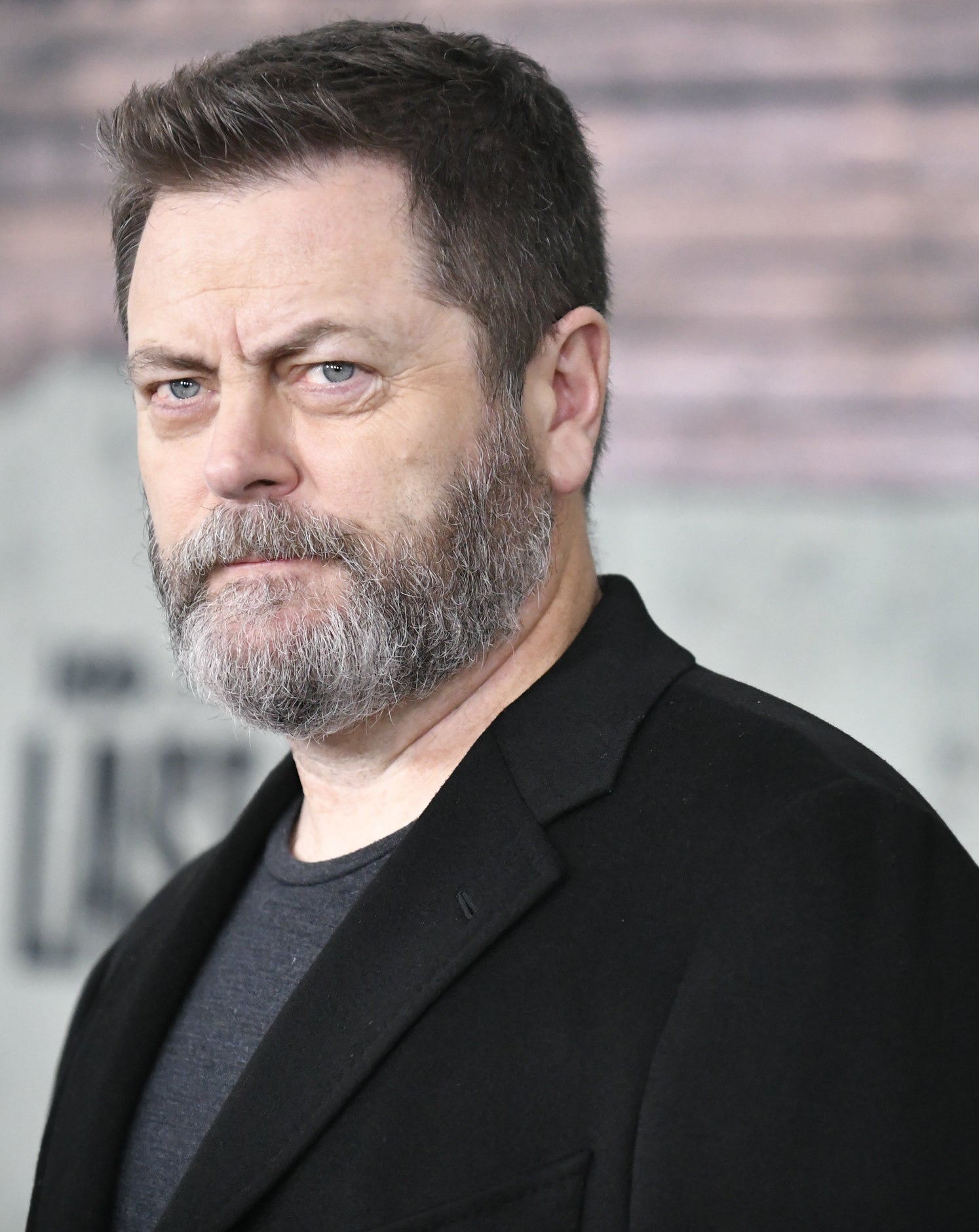 Nick Offerman on the red carpet