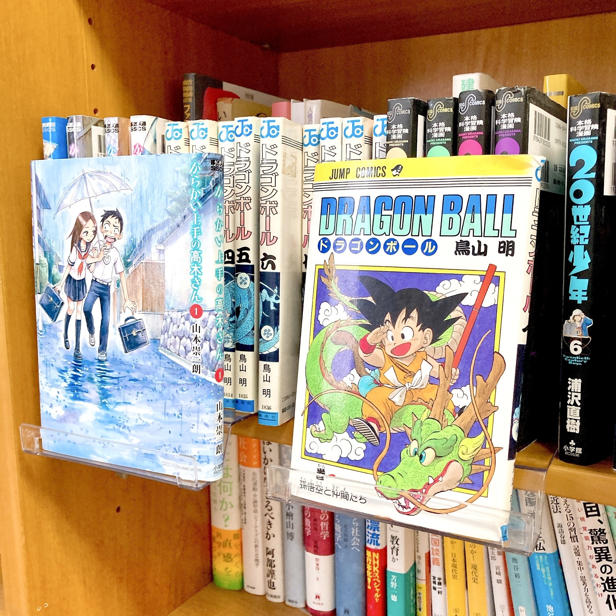 DAISO（ダイソー）のおすすめ便利アイテム「漫画を飾れる棚」