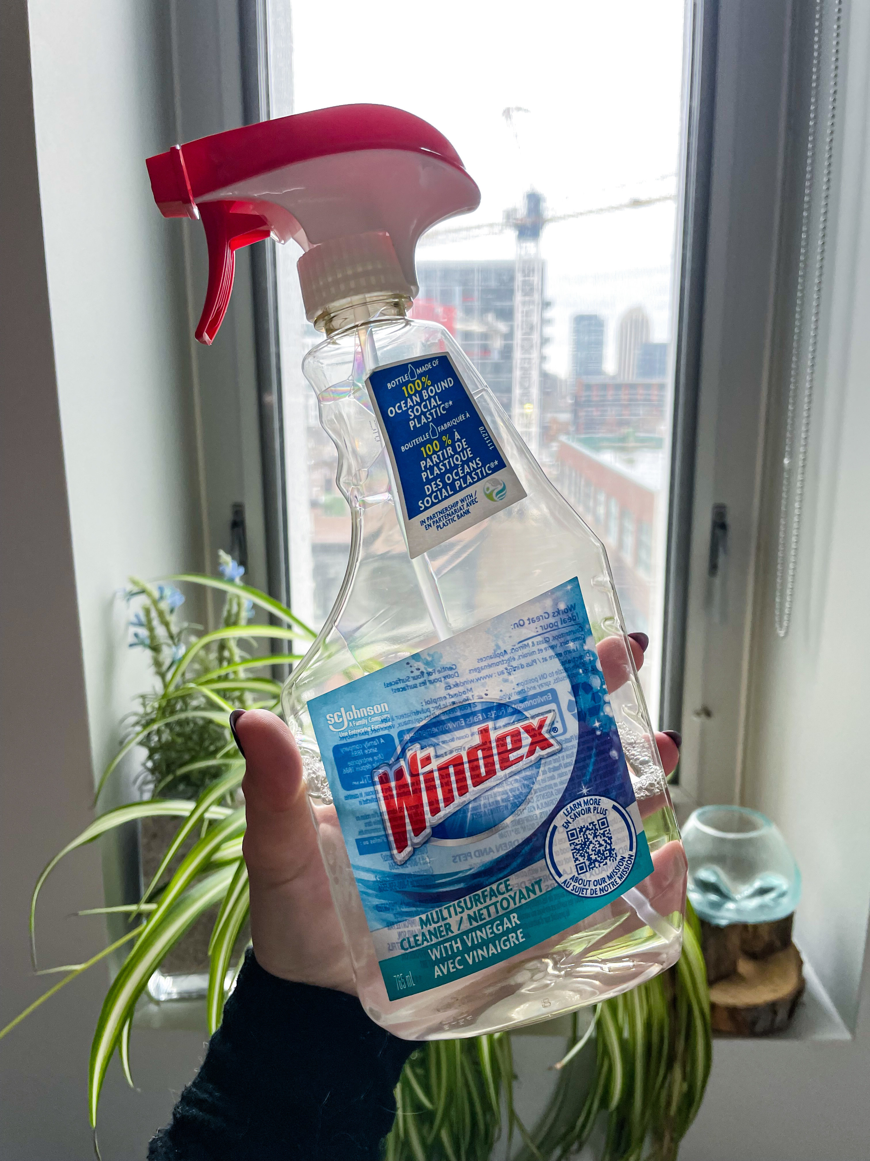 victoria holding up a spray bottle of the windex with vinegar