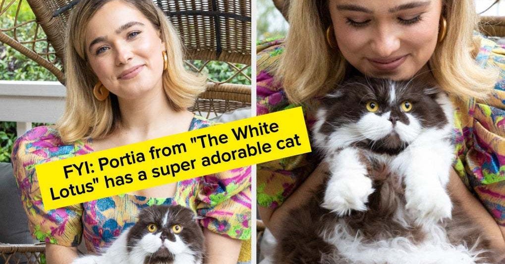 14 Celebs Who Make The World A Better Place By Posting Their Pets On Instagram 14 Celebs Who Make The World A Better Place By Posting Their Pets On Instagram