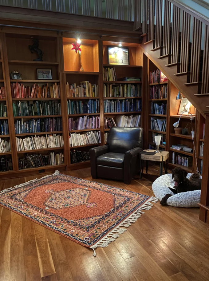 A dog in a library