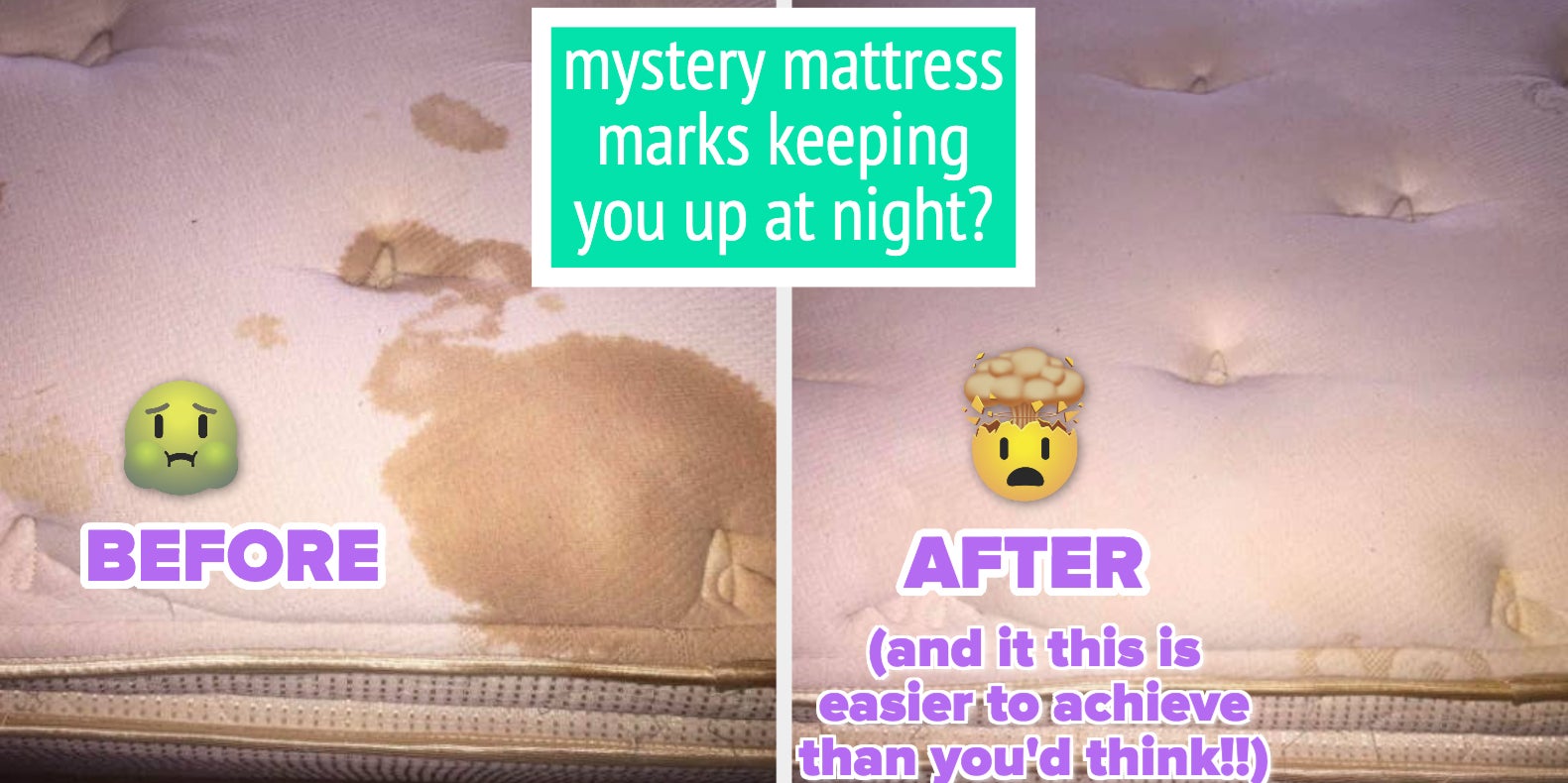 woolite pet stain remover on mattress｜TikTok Search