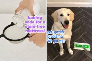 hand sieving baking soda over a mattress "baking soda for a stain-free mattress!", a dog beside a Swiffer "pet-specific problems? We got you"