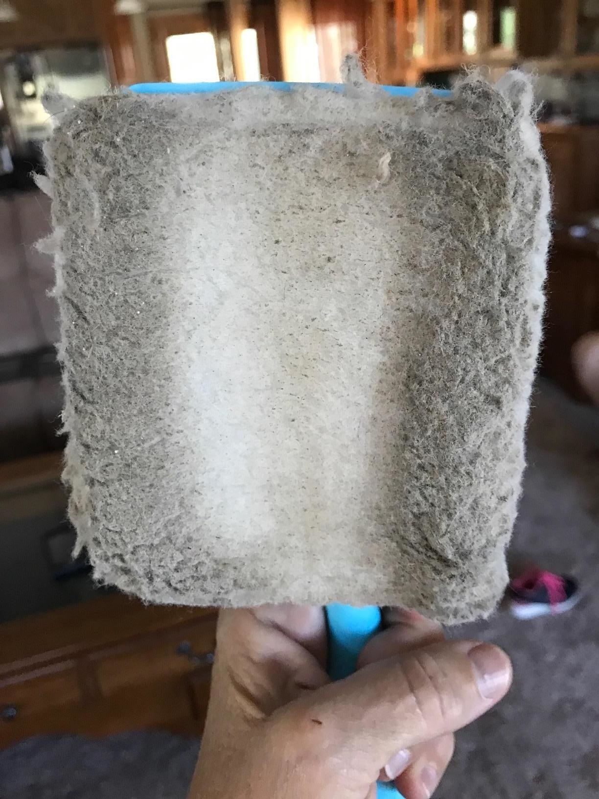 a reviewer photo showing the dust collected on the head of the baseboard cleaner
