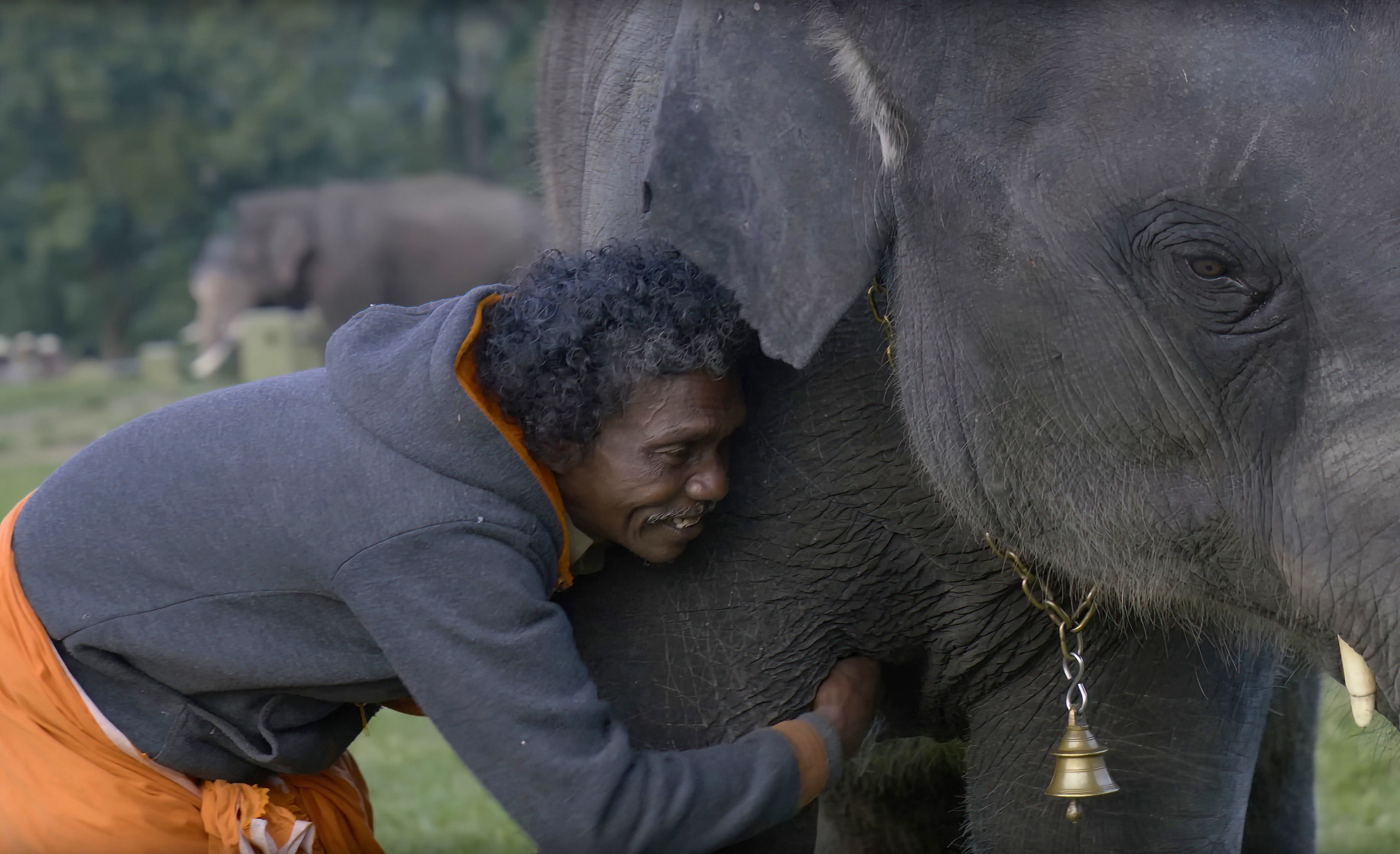 一个男人拥抱一头大象