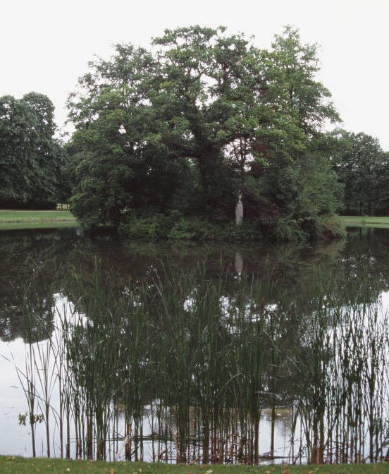 Princess Diana&#x27;s gravesite