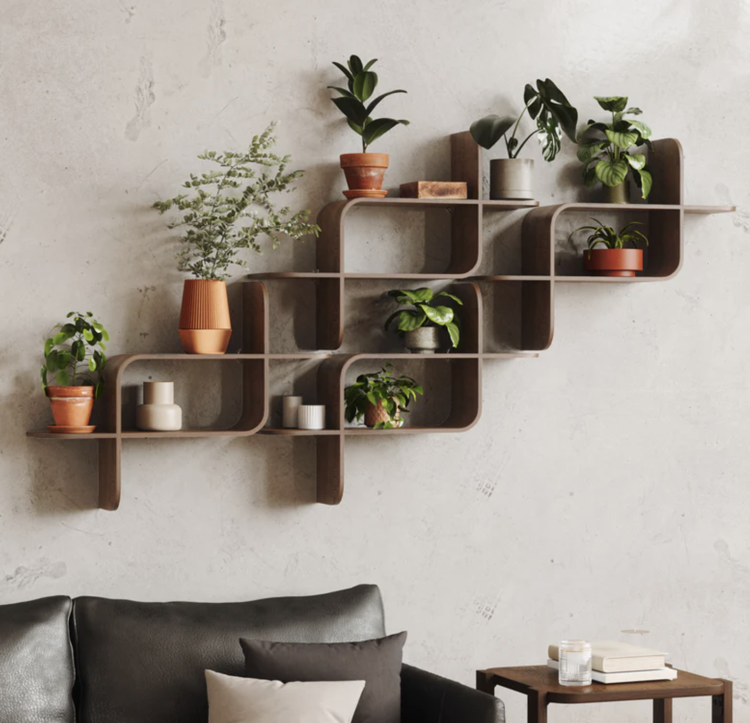 the shelves holding plants over a couch in a living room
