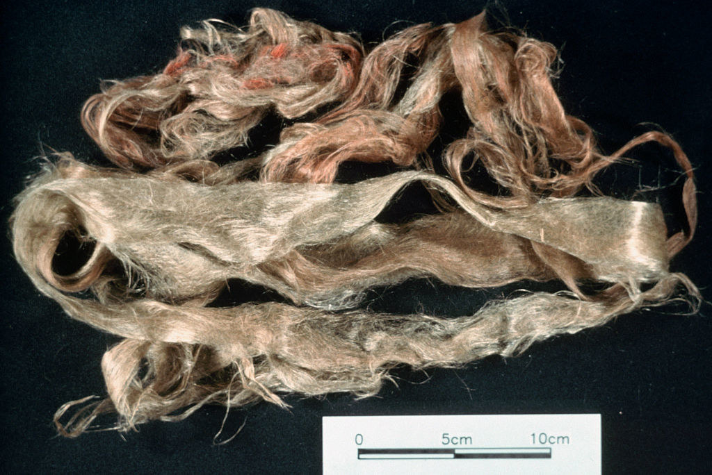 Close-up of hairlike clumps
