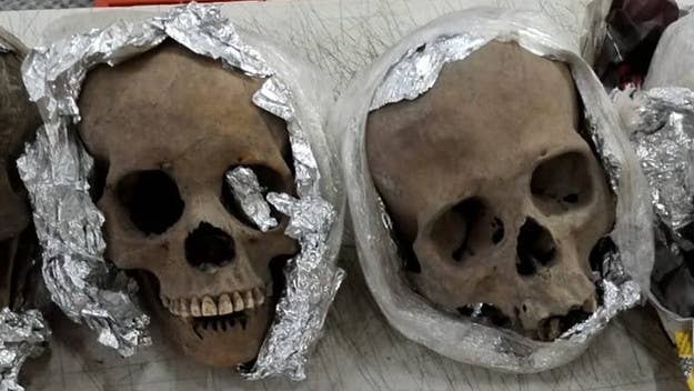The skulls were discovered inside a cardboard box after an X-ray machine at a Mexico airport uncovered "abnormal organic material," spurring a search.